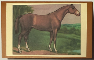 Gift Enclosure Art Card (GE-5415) 4" W  x  2.25" H