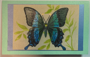 Gift Enclosure Art Card (GE-5426) 4" W  x  2.25" H