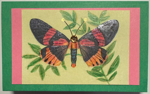 Gift Enclosure Art Card (GE-5427) 4" W  x  2.25" H