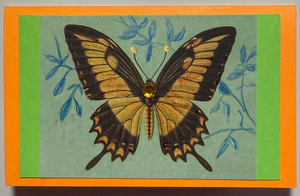 Gift Enclosure Art Card (GE-5430) 4" W  x  2.25" H Gift Enclosure Art Card (GE-5430) 4" W  x  2.25" H