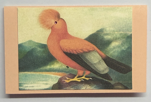 Gift Enclosure Art Card (GE-5586) 4" W  x  2.25" H