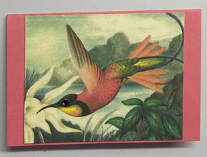 Gift Enclosure Art Card (GE-5596) 4" W  x  2.25" H