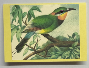 Gift Enclosure Art Card (GE-5597) 4" W  x  2.25" H