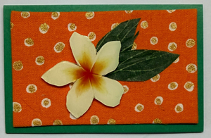 Gift Enclosure Art Card (GE-5657) 4" W  x  2.25" H