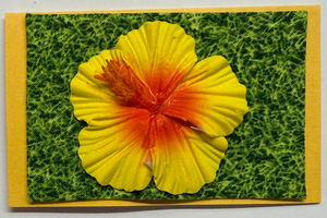 Gift Enclosure Art Card (GE-5659) 4" W  x  2.25" H