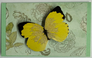 Gift Enclosure Art Card (GE-5709) 4" W  x  2.25" H