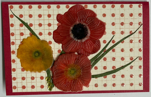 Gift Enclosure Art Card (GE-5725) 4" W  x  2.25" H