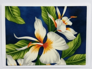 Large Format Art Card (LF-0419) 7" W  x  5" H