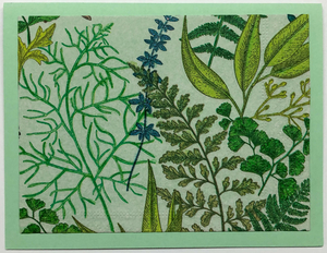 Tropical Impression Art Card (TI-0394) 5.5" W  x  4.25" H