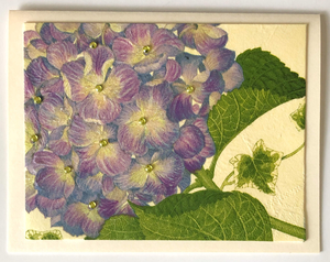 Tropical Impression Art Card (TI-0448) 5.5" W  x  4.25" H