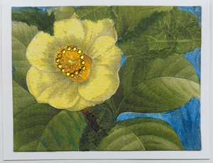 Tropical Impression Art Card (TI-0505) 5.5" W  x  4.25" H