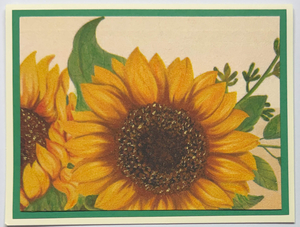 Tropical Impression Art Card (TI-0644) 5.5" W  x  4.25" H