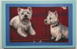 Gift Enclosure Art Card (GE-5321) 4" W  x  2.25" H