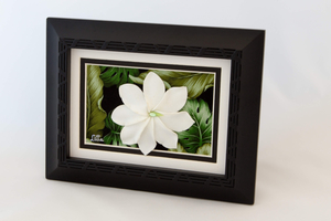 x-Sold-Art-FA-Framed-Tiare-03